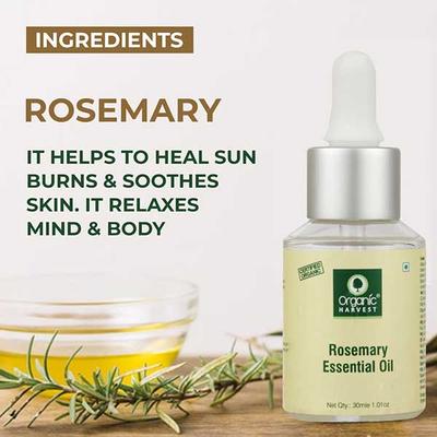 Organic Harvest Rosemary Essential Oil 30 ml - Essential Oils
