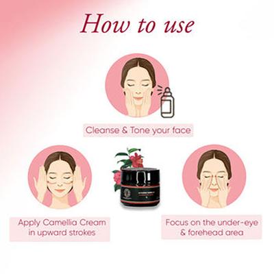 Global Beauty Secrets Japanese Camellia Illuminating Cream 30 gm - Face Creams