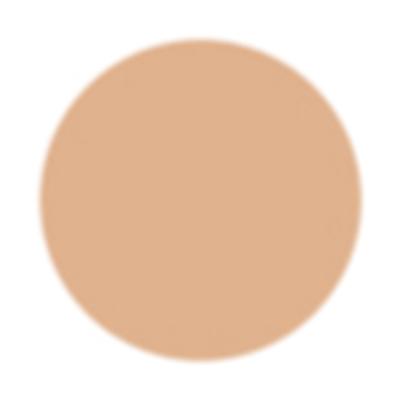 PAC Studio HD Concealer Sheesham 12 gm - Concealer