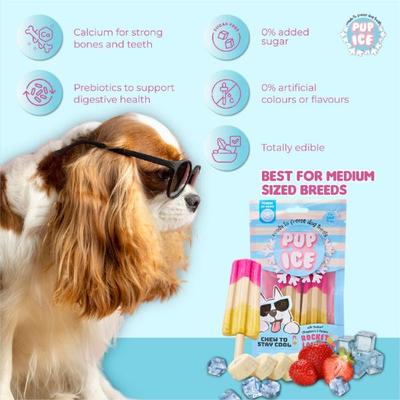 Pup Ice Rocket Lollies Yoghurt Strawberry & Banana Flavour 2's - Petfood