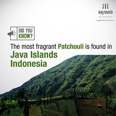 Raymond Java Patchouli Edp Perfume for Men 45 ml - Men Perfumes (Edt/Edp)