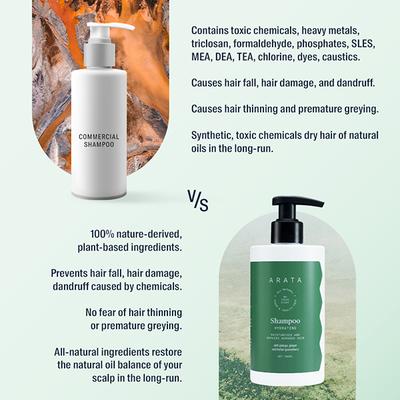 Arata Natural Hydrating Hair Shampoo With Ginkgo, Ginger & Indian Gooseberry for Damaged Hair 300 ml - Shampoos