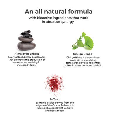 Wellbeing Nutrition Melts Testo Power Testofen, Himalayan Shilajit, Ginkgo biloba 30 Strips - Sexual Care