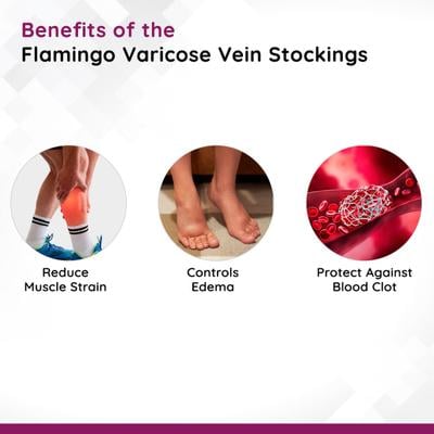 Flamingo Varicose Vein Stockings (OC - 2012) (XXL) - Knee/Leg Supports