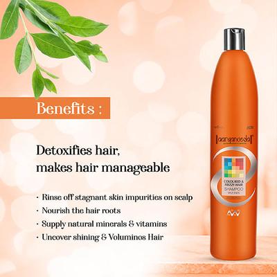 Aryanveda Coloured & Frizzy Hair Color Protect Shampoo For All Hair Type 1000 ml - Shampoos