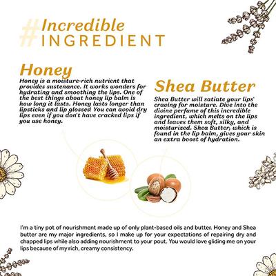 Atulya Honey Natural Lip Balm 5 gm - Lip Balms