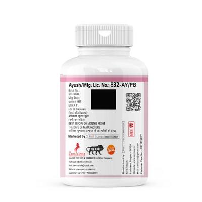 Zenius Active+ Capsule 60's - Personal Care (Ayush)