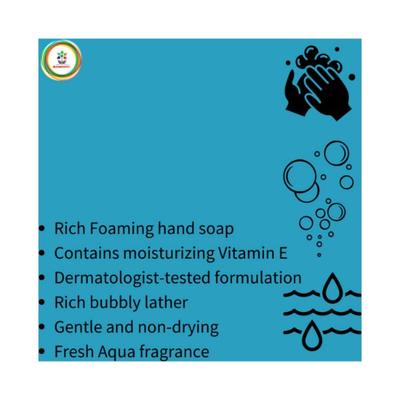 Bloomsberry Aqua Bliss Gentle Foaming Hand Soap 450 ml - Hand Wash & Soaps