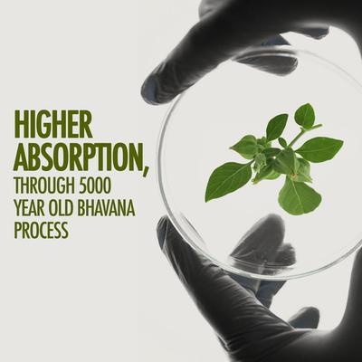 Kapiva Ayur Foods Ashwagandha Gold Capsules 60's - Ashwagandha