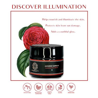 Global Beauty Secrets Japanese Camellia Illuminating Cream 30 gm - Face Creams