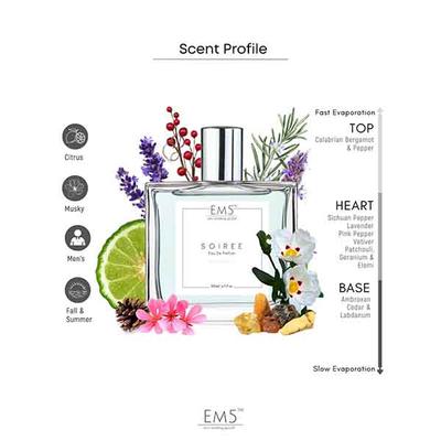 EM5 Soiree Perfume for Men - Eau De Parfum Spray, Spicy Amber Citrus 50 ml - Men Perfumes (Edt/Edp)