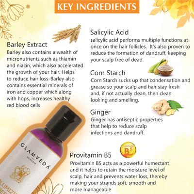 Glamveda Volumizing Beer Shampoo 100 ml - Shampoos