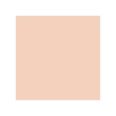 Colorbar 24Hrs Wear Weightless Powder Foundation Pf 3 9.5 gm - Compact Powder