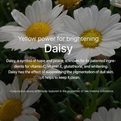 Mixsoon Daisy Essence 100 ml - Face Serum