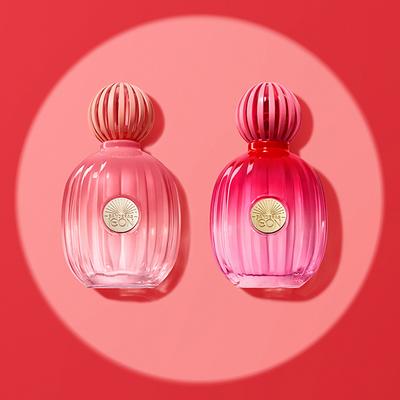 Banderas The Icon Splendid Eau de Parfum 50 ml - Women Perfumes (Edt/Edp)