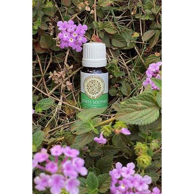 House of Aroma Stress Soother Fragrance Oil 10 ml - Carrier Oils