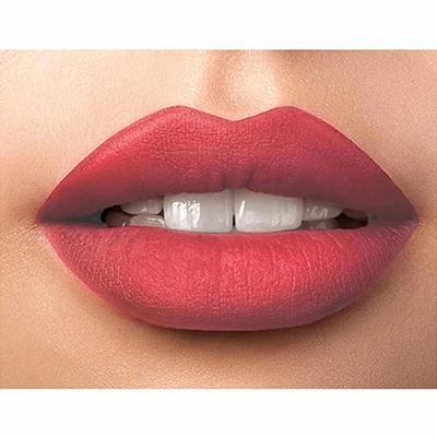 Daily Life Forever52 Matte Long Lasting Lipstick Mls014 4 Ml - Lipsticks