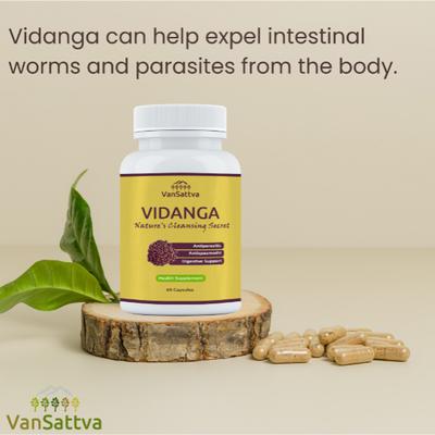Vansattva Vidanga Capsule 60's - Speciality Medicines