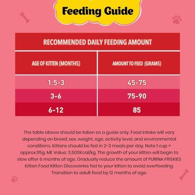 Nestle Purina Friskies Kitten Discoveries Cat Food 1 kg - Petfood