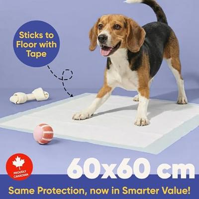 Purple Tails Air Series Pet Training Pad Large) (Pack of 60) - Pet Healthcare