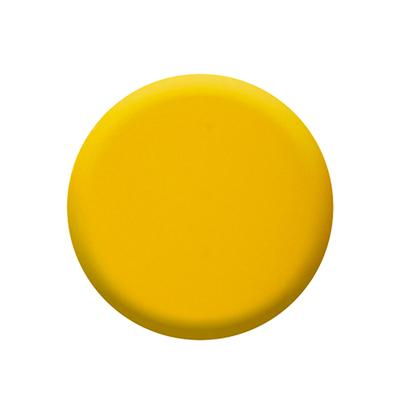 Colorbar Bumble Bee - (1088) 12 ml - Nail Polish