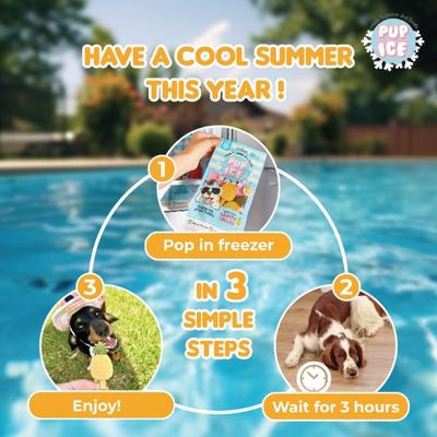 Pup Ice Fruity Lollies Pineapple 90 g - Petfood