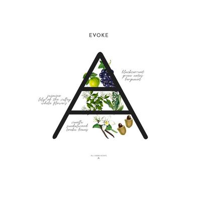 All Good Scents Perfume Mist for Women - Evoke 100 ml - Women Perfumes (Edt/Edp)