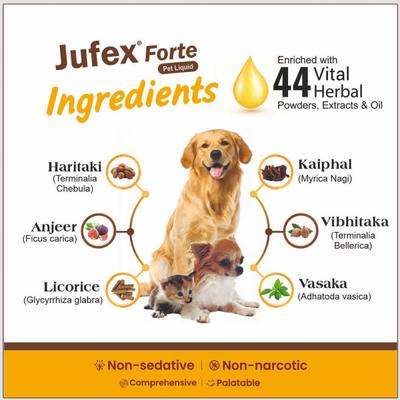 AIMIL Jufex Forte PET Liquid 100 ml - Pet Healthcare