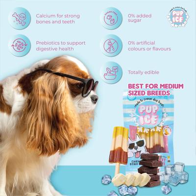 Pup Ice Rocket Lollies Banana & Chocolate Flavour 2's - Petfood