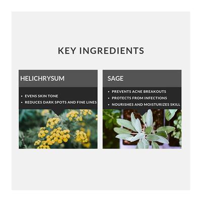 Raw Nature Hand & Body Lotion - Helichrysum & Sage 60 gm - Lotions & Creams