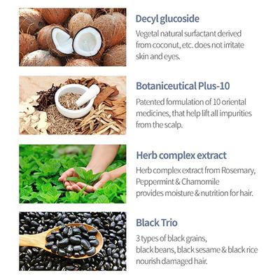 Milk Baobab Perfume Shampoo White Musk 500 ml - Shampoos