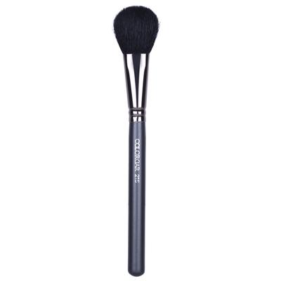 Colorbar Pro Makeup Brushes-Pro Blush Brush. 1's - Face Brush
