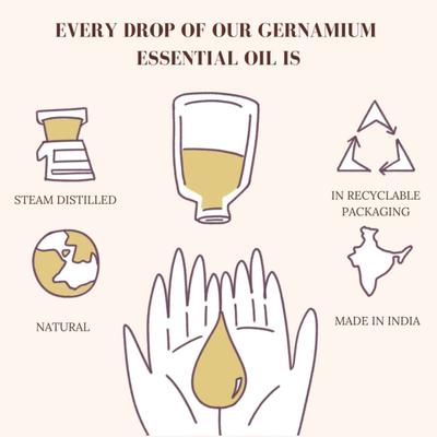 Essentia Extracts Geranium Essential Oil 15 ml - Essential Oils