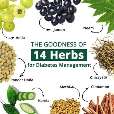 Vansaar 45+ Diab Balance Juice 500 ml - Ayurvedic Juices