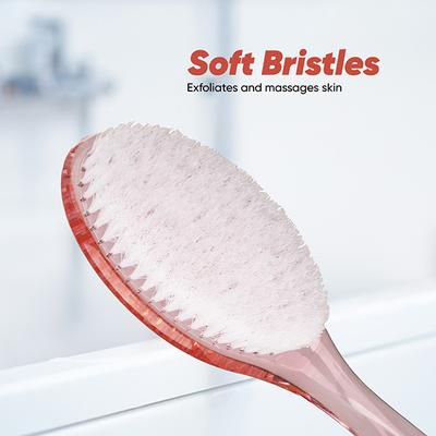 Vega Bath Body Brush With Long Handle For Men & Women, Exfoliating Brush For Deep Cleansing (Ba-1/3) - Body Scrubbers & Brushes