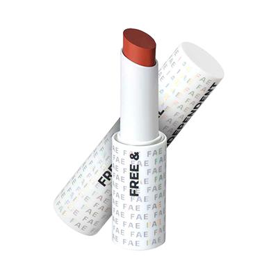 FAE Beauty Terracotta Buildable Matte Lipstick Shade Too Wild 3.5 gm - Lipsticks