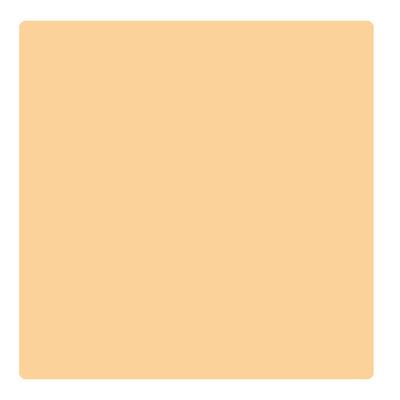 Bonjour Paris Photo Match Crayon Concealer - Honey 3.2 gm - Concealer