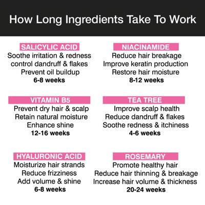 Soulflower Rosemary Tea Tree Shampoo with Vitamin B5 200 ml - Shampoos