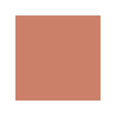 Aravi Organic Long Lasting Ultra Smooth Matte Liquid Lipstick - Coffee Connect 1.5 ml - Liquid Lipsticks
