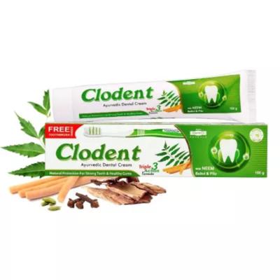 Hapdco Clodent Ayurvedic Dental Cream With Neem Clove & Pilu 100 Gm + Free Toothbrush 1 s - Speciality Medicines