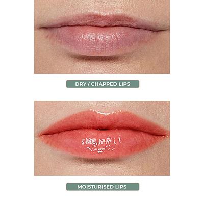 Organic Harvest Moisturizing Green Apple Lip Balm 8gm - Lip Balms