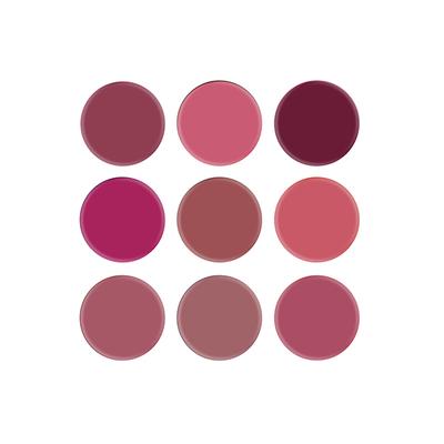 Swiss Beauty On The Move Lip Palette 9 Color - (Pink and Mauve) 5gm - Lipsticks
