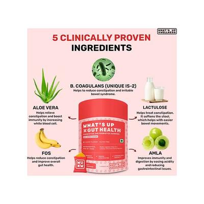 Whats Up Wellness Gut Health Gummies, Pre and Pro Biotic Patented Strain No Added Sugar 30 Days, 30 Gummies 1's - Digestive Health