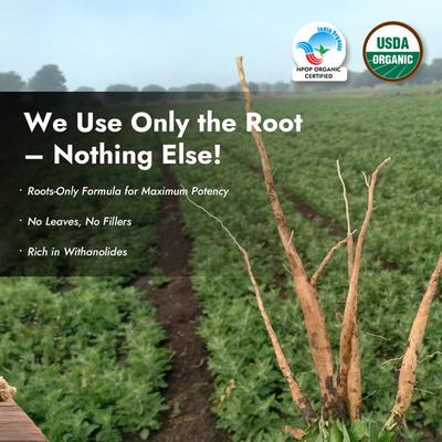 Nutriorg Ashwagandha Powder 100 g - Ashwagandha