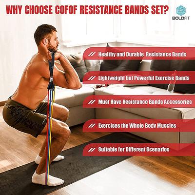 Boldfit Resistance Tube Kit (Pack of 11) - Workout Essentials