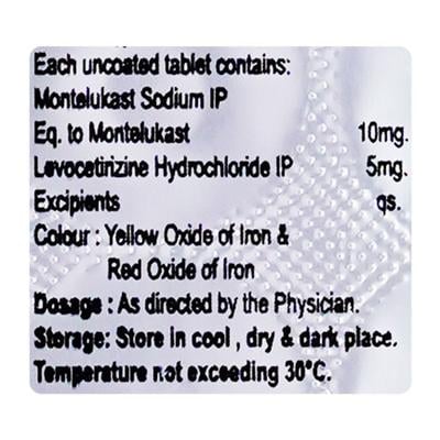 DUALMONT LC Tablet 10's - Allergies-Ant