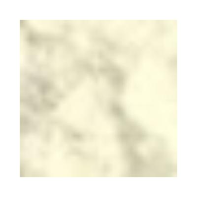 Pac Translucent Powder 02 Feather Soft All Natural Finish 10gm - Loose Powder