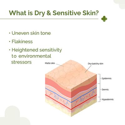 The Derma Co. 5% Nia-Ceramide Intense Moisturizing Cream, 24hrs Moisturization 100 gm - Face Moisturizers