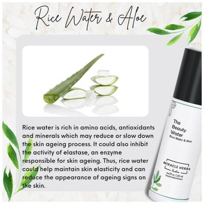 Miracle Herbs The Beauty Water Rice Water And Aloe 100 ml - Toners