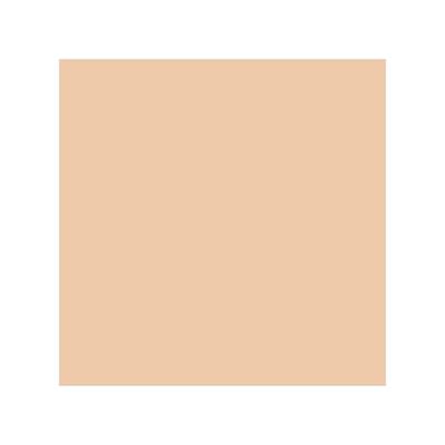 Colorbar 24Hrs Wear Weightless Powder Foundation Pf 5 9.5 gm - Compact Powder